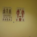 Poster of Human Systems