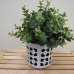 Artificial Plant
